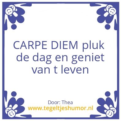 Tegeltje: CARPE DIEM