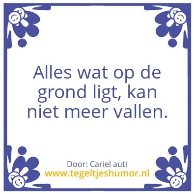 Tegeltje: de grond