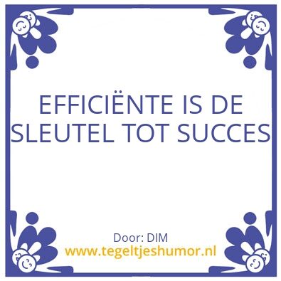 Tegeltje: SUCCES