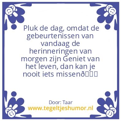 Tegeltje: Pluk de dag…