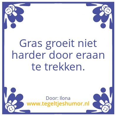 Tegeltje: Ilona