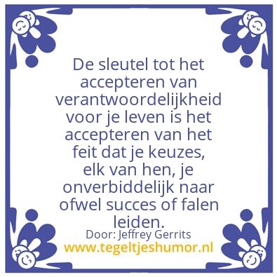 Tegeltje: Succes of falen