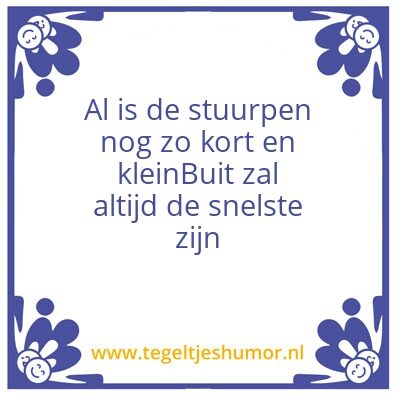 Tegeltje: Buit