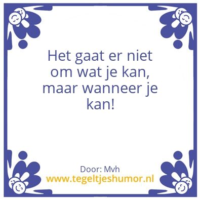 Tegeltje: Alleskunner