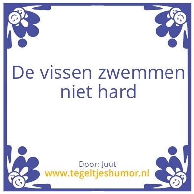 Tegeltje: Hoepla