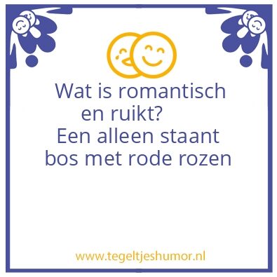 Tegeltje: Een en al romantiek