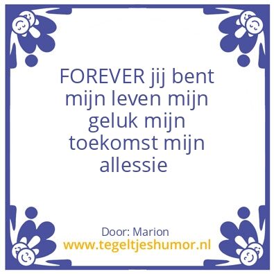 Tegeltje: Ying en yang