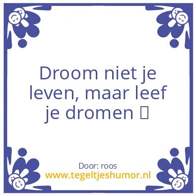 Tegeltje: droom