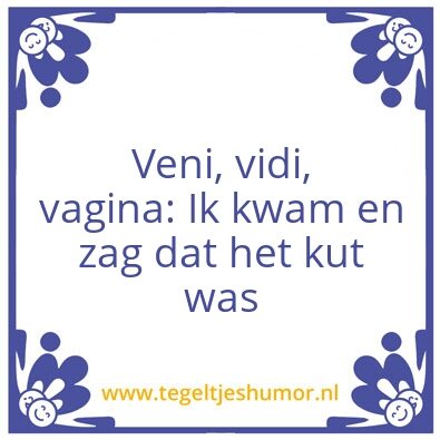 Tegeltje: Veni, vidi, vagina