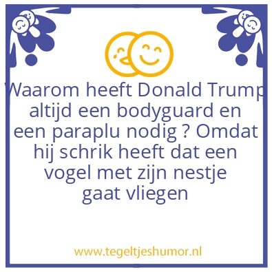 Tegeltje: Trump