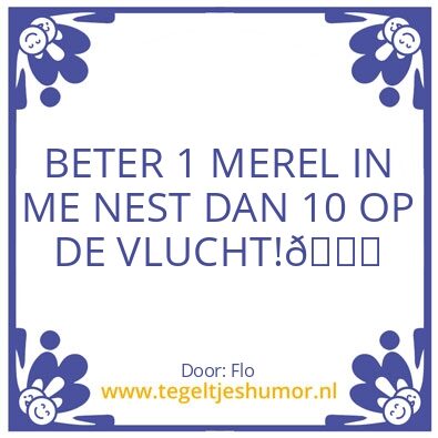 Tegeltje: Love bird