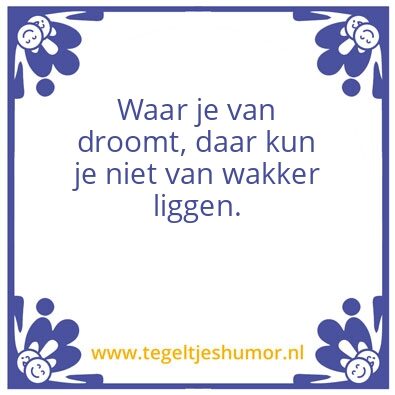 Tegeltje: Droom