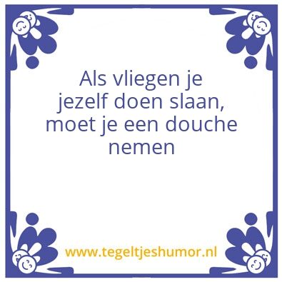 Tegeltje: Vliegen