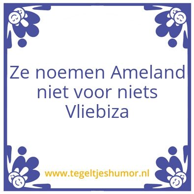 Tegeltje: Vliebiza