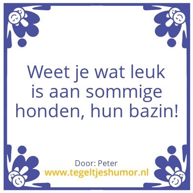 Tegeltje: Hondeneigenaar