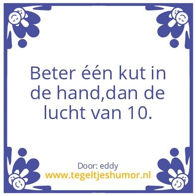 Tegeltje: grappig