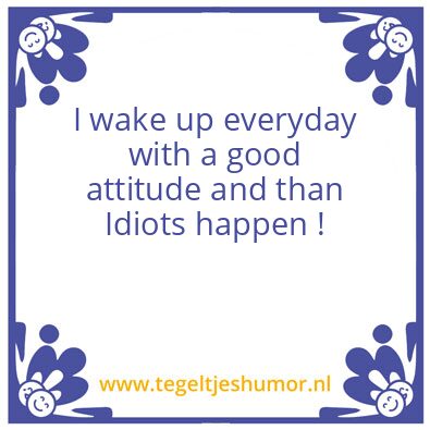 Tegeltje: Idiots