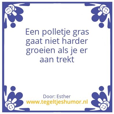 Tegeltje: Dennis