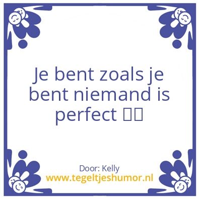 Tegeltje: Niemand is perfect