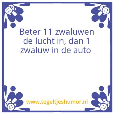 Tegeltje: zwaluw