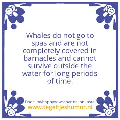 Tegeltje: Whales do not go to spas !