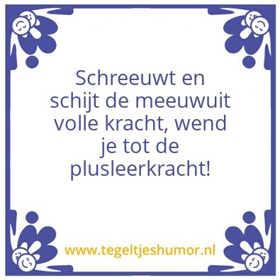 Tegeltje: Moo