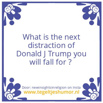 Tegeltje: you’re an fool to Donald.