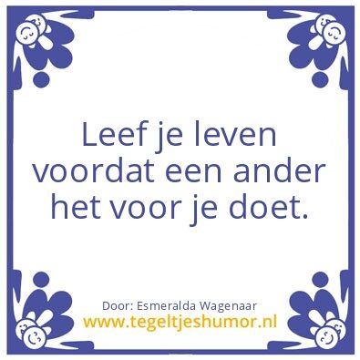 Tegeltje: Leven