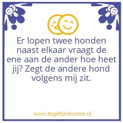 Tegeltje: Hey marina