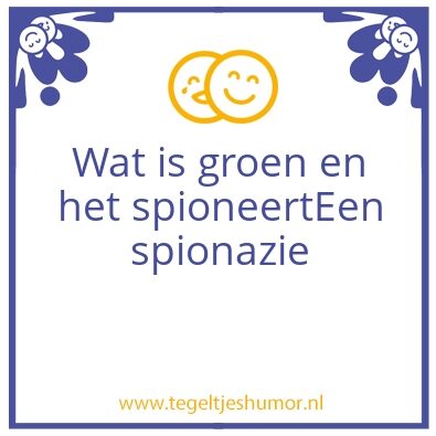 Tegeltje: spionazie