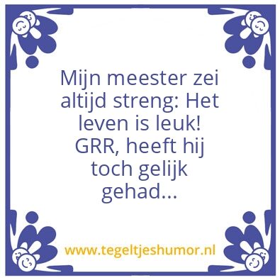 Tegeltje: Leven is leuk