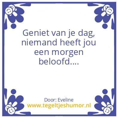 Tegeltje: Leven