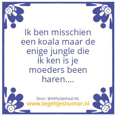 Tegeltje: Koala diss