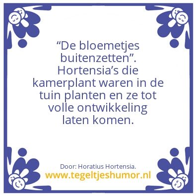 Tegeltje: De bloemetjesâ€¦.