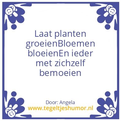 Tegeltje: Spreuk van de dag