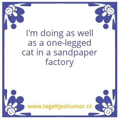 Tegeltje: oogi