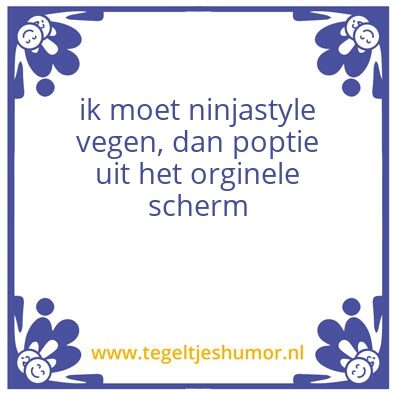 Tegeltje: Techboy