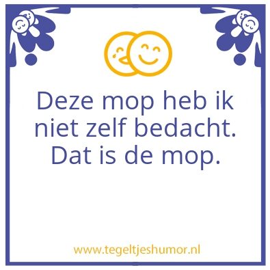 Tegeltje: Gestolen mop