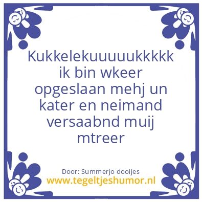 Tegeltje: Als je een kater hebt