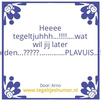 Tegeltje: plavuis