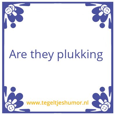Tegeltje: Jeroen