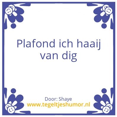 Tegeltje: plafond
