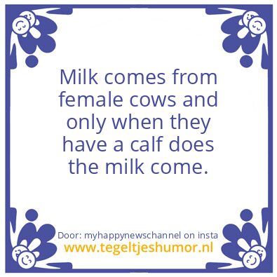 Tegeltje: Milk comes from female cows !