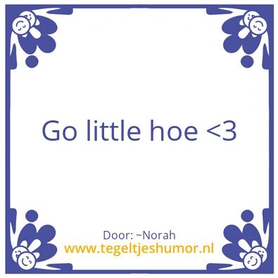 Tegeltje: Hoe life or no life