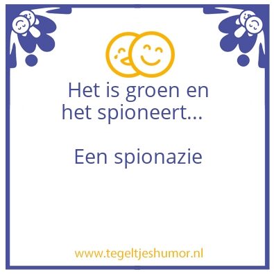 Tegeltje: spionazie
