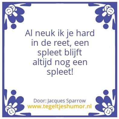 Tegeltje: Memegasm