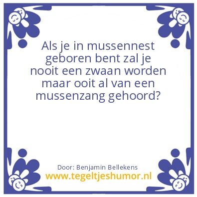 Tegeltje: Vogelwijsheid