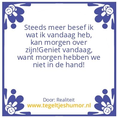 Tegeltje: Shrinita Shrinita