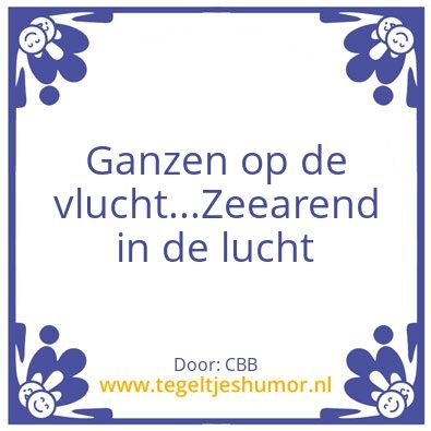 Tegeltje: Zeearend