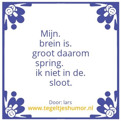 Tegeltje: Brein groot
